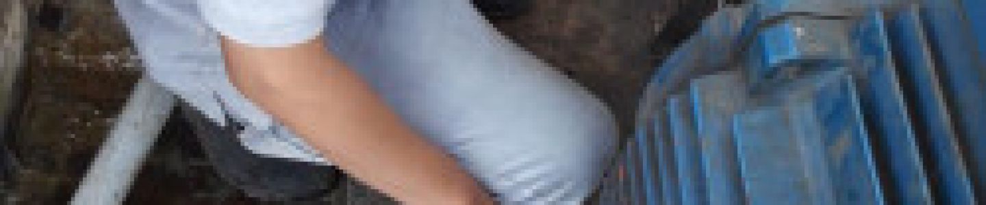 News Laser Alignment on Site - Oleh Distributor Bearing Di Surabaya laser aligment2 faf59 3504 579 t3504 121